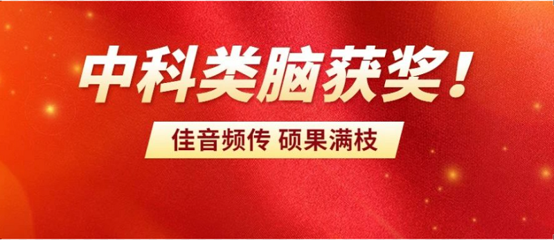 祝賀|中科類腦獲得安徽省人工智能技術(shù)獎(jiǎng)一等獎(jiǎng)